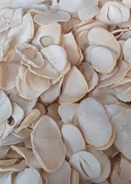 موسیر پلاکی درجه ۱