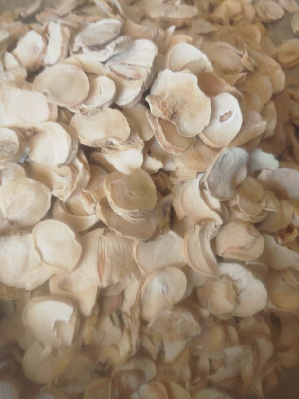 موسیر پلاکی درجه ۱