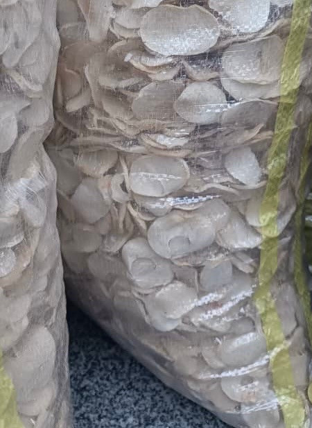 موسیر پلاکی درجه ۱