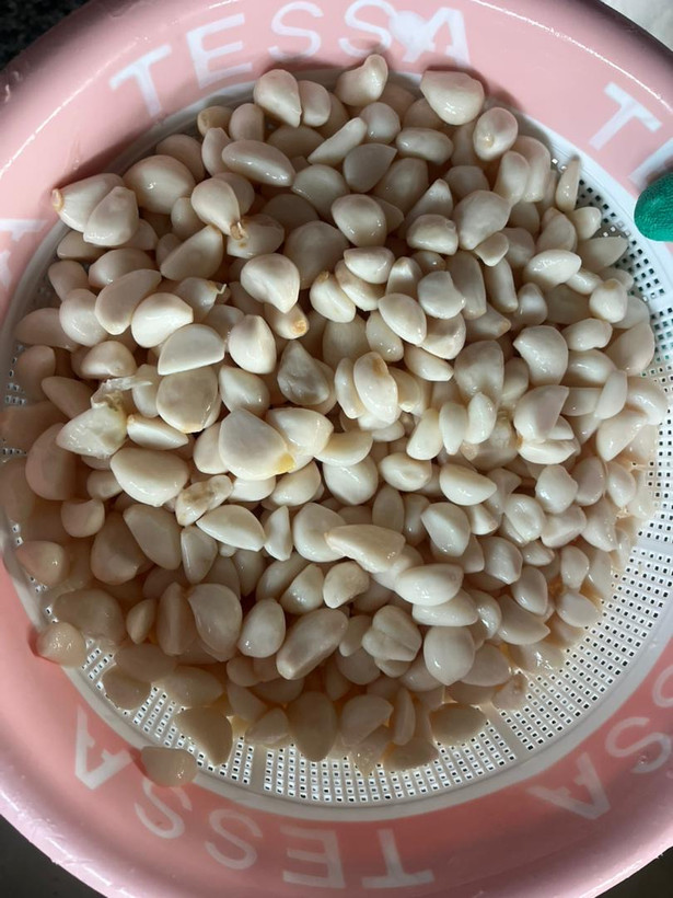 حبه سیر مرواریدی بلنچ
