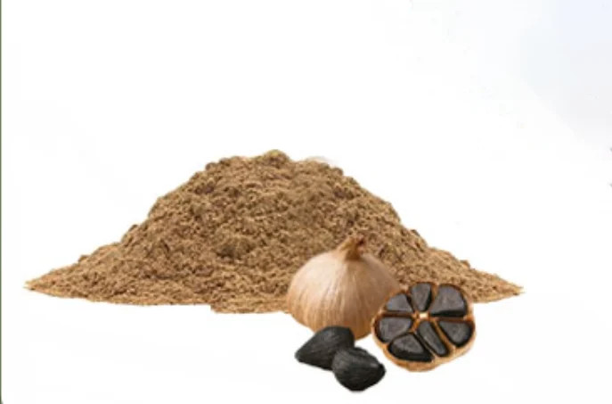 عصاره سیر سیاه خشک یا پودری